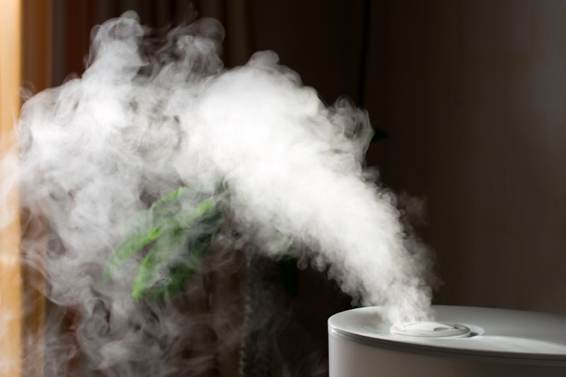 Humidifier spreading steam into the living room in Olympia, WA