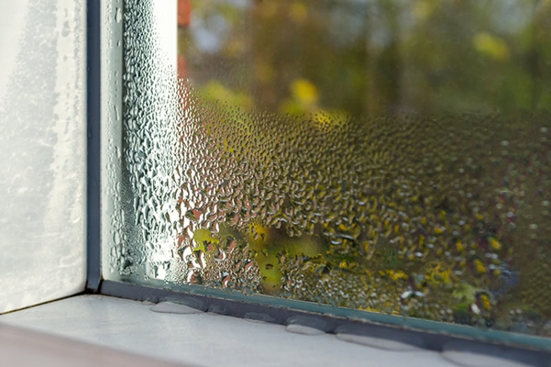 humidity collecting on window.
