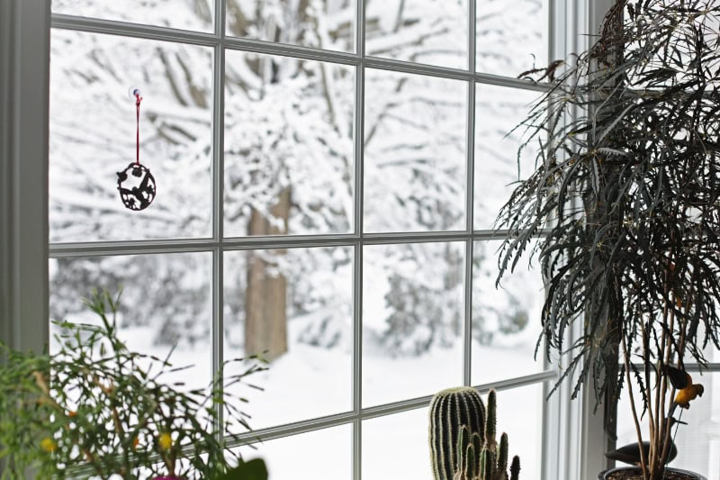 A winter blizzard rages outside the back yard bay window where this small, serene potted plant garden grows and blooms oblivious to the season. A similar is available in vertical/portrait orientation.